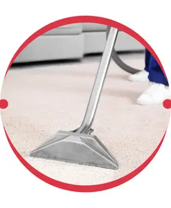 Dust Mites Removal